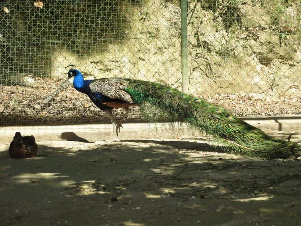 Encosta Dos Tuneis - Turismo E Lazer Sever do Vouga Luaran gambar